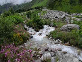 Description: Description: photo